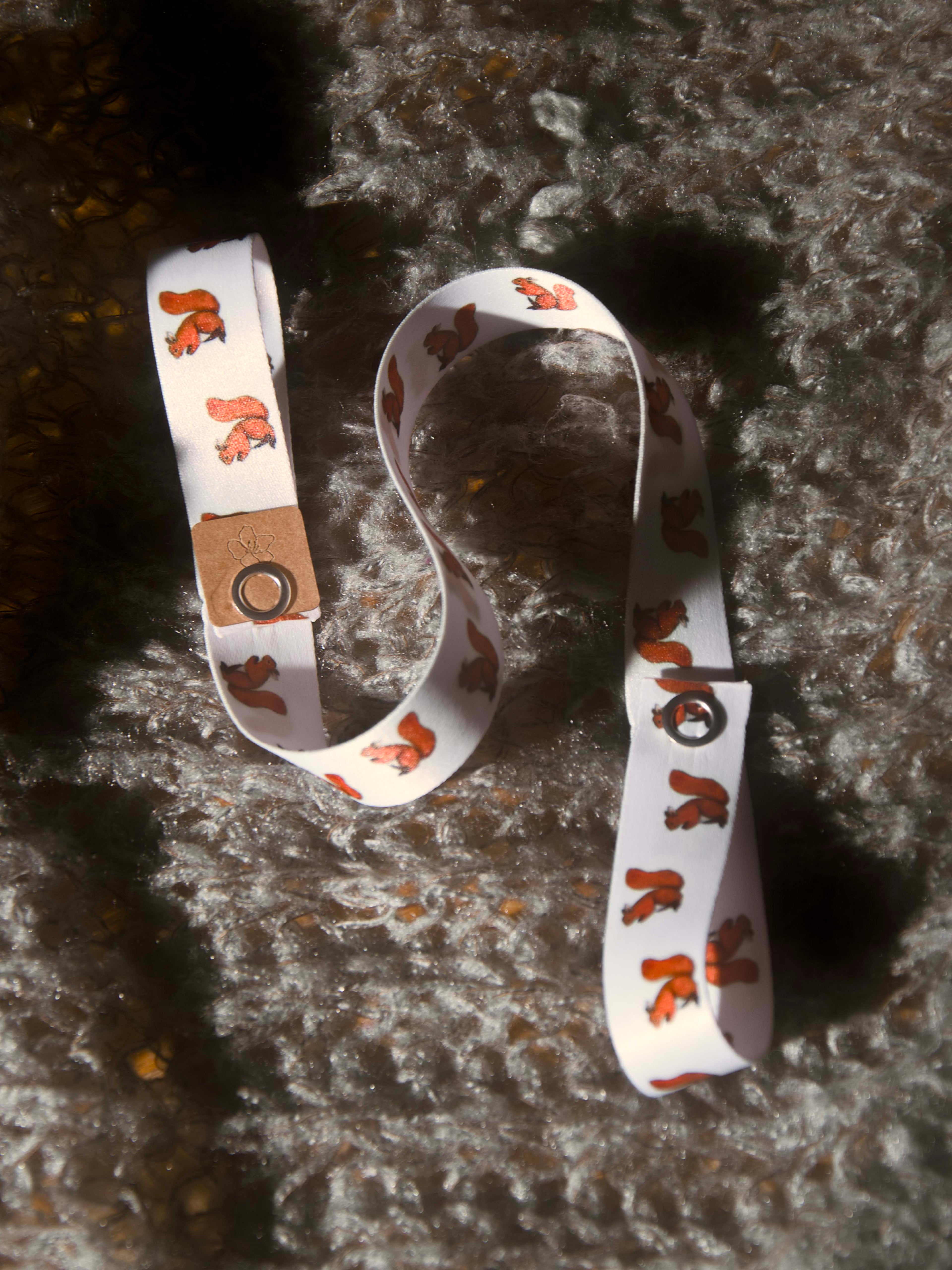 Catchie - wiewiórka