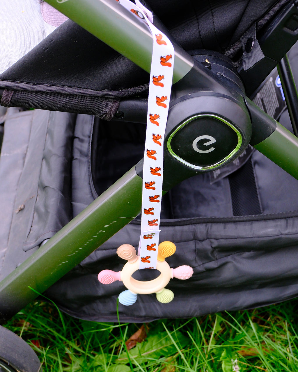 Catchie - wiewiórka