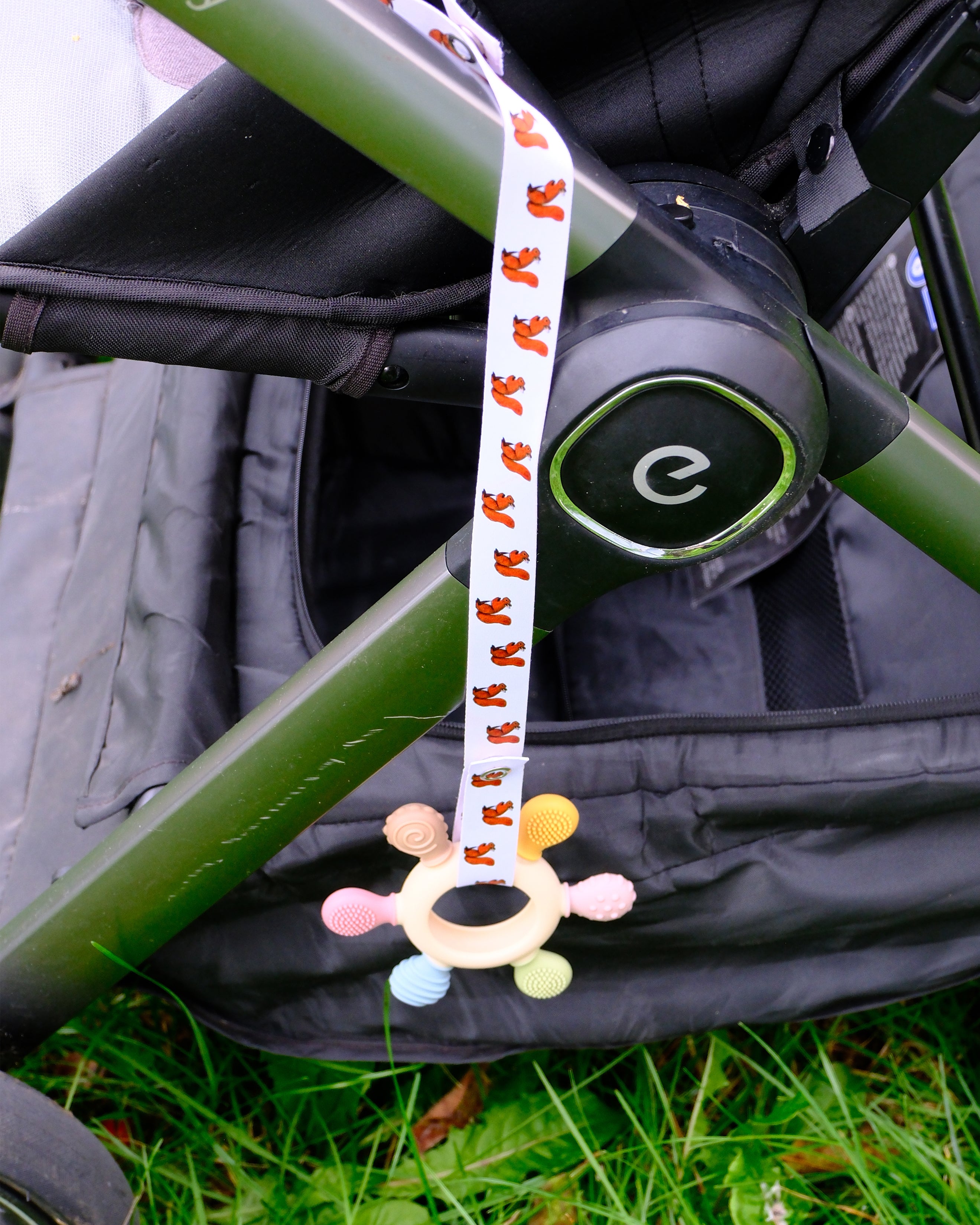 Catchie - wiewiórka