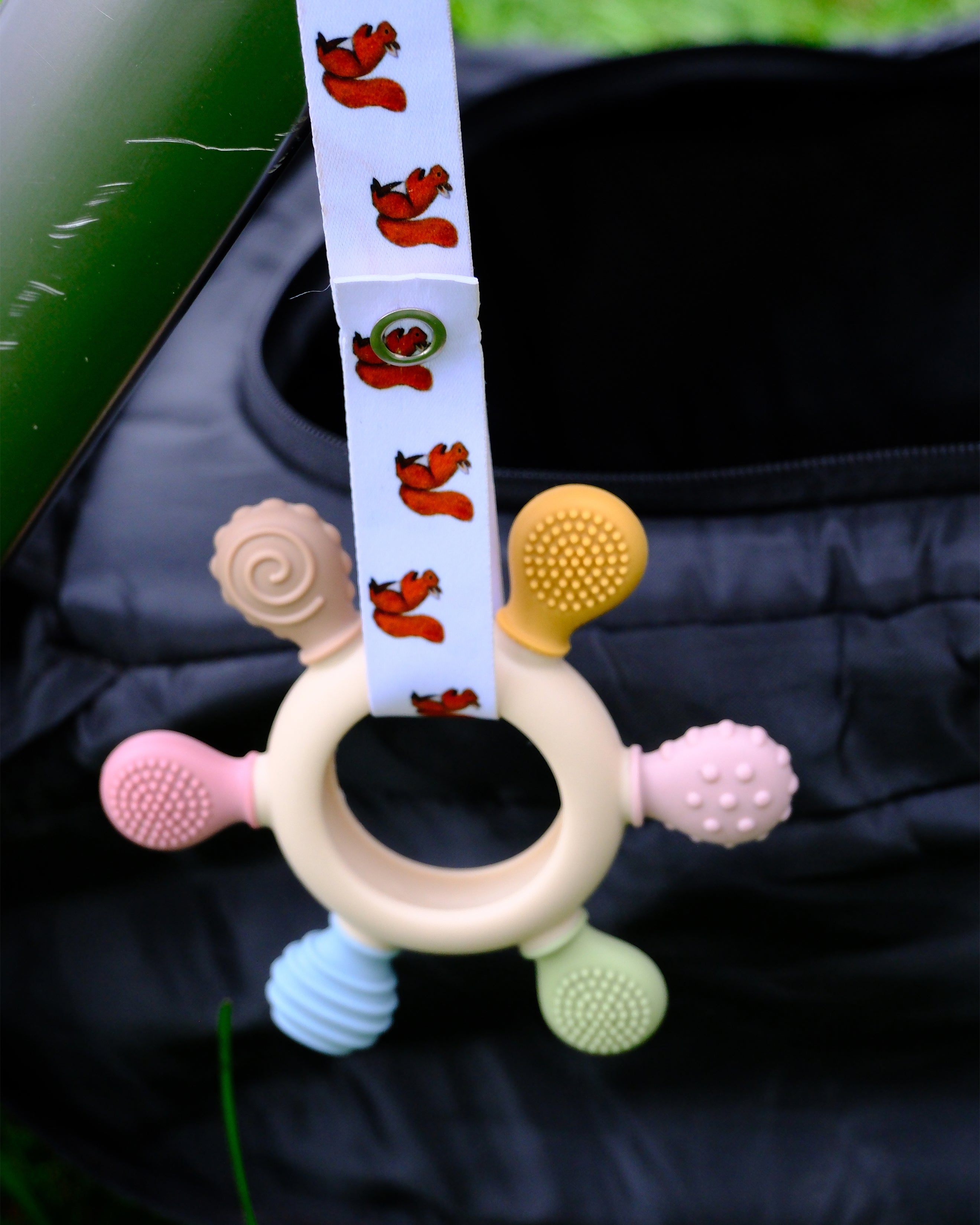 Catchie - wiewiórka